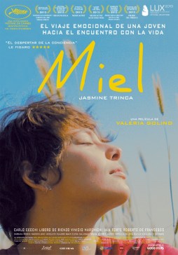 Baja_Resolucion_1 (557x800)