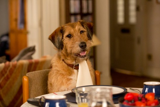 aa_7_4_14_01237_jpg_1016