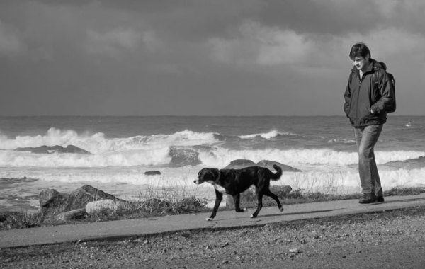 La felicidad de los perros crítica Insertos